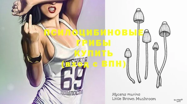 не бодяженный Богородск