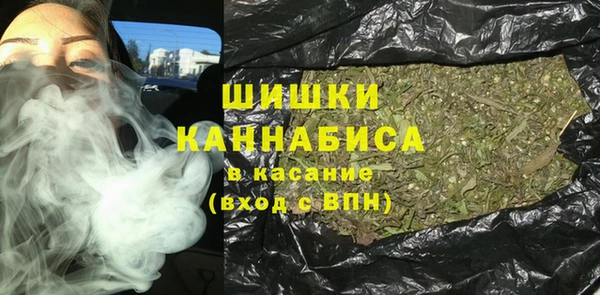 твердый Богданович