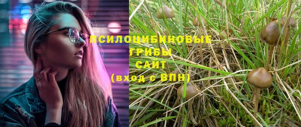 синтетический гашиш Богородицк