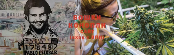 твердый Богданович