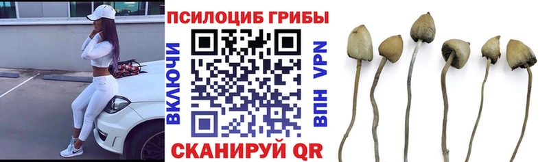 Галлюциногенные грибы ЛСД MEGA сайт Мостовской